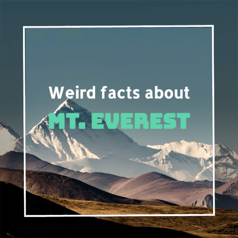 weird-facts-about-mt.everest-video-template-thumbnail-img