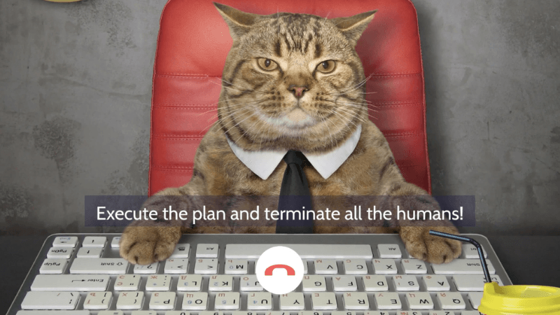 international-cat-day-video-template-thumbnail-img