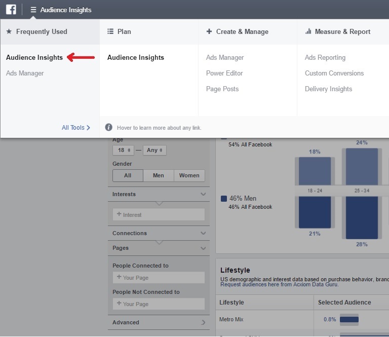 Facebook Video Ads Audience Insights