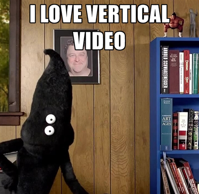 Vertical video meme