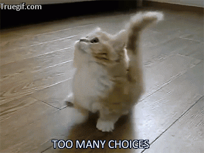 Choices cat gif
