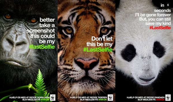 WWF Snapchat Campaign