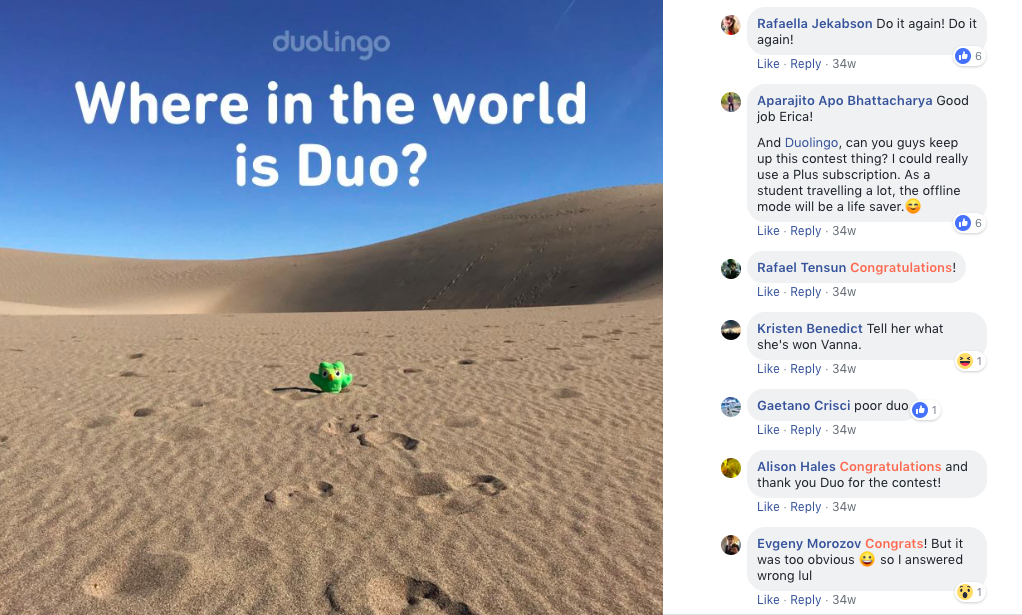 duolingo-contest