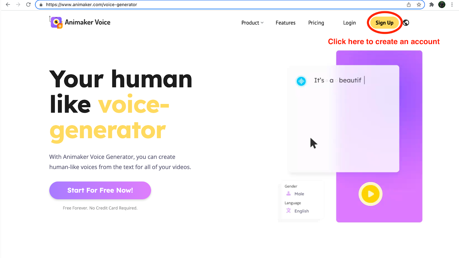 Voice Generator Webpage