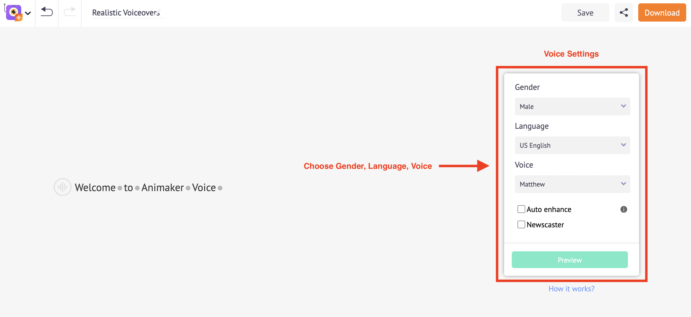 voice settings