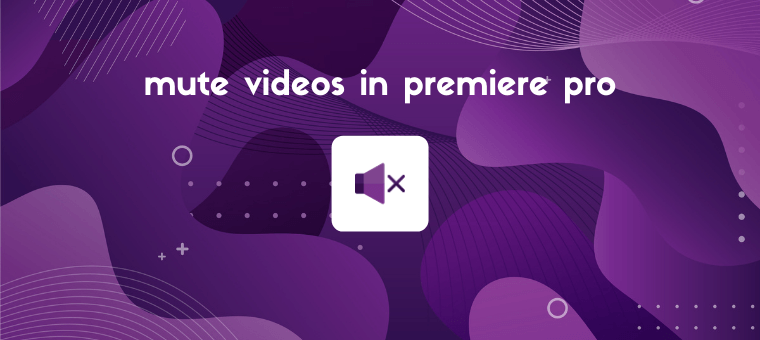 Remove Audio from Video in Premiere Pro (Step by Step)