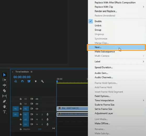 select nest from the dropdown menu