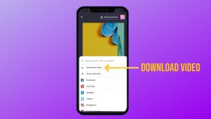 How to download video