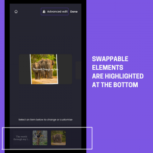 Easily swappable elements (Texts, Images & Videos) are highlighted