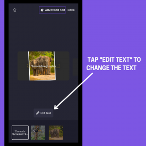 click on the “Edit Text” button to add your text