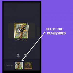 Click on the “Swap” button to replace the image / video