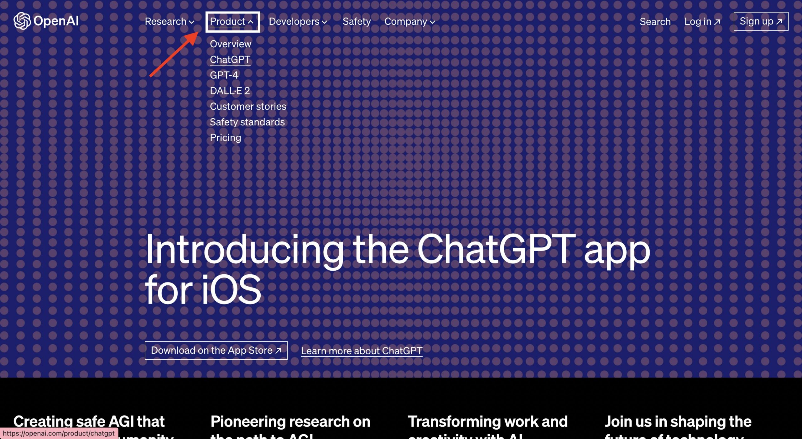 ChatGPT login screenshot