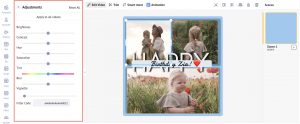 Make Adjustments To Video