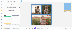 Add Text To Video Collage using a TextBox
