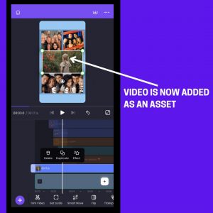Video added as an Asset