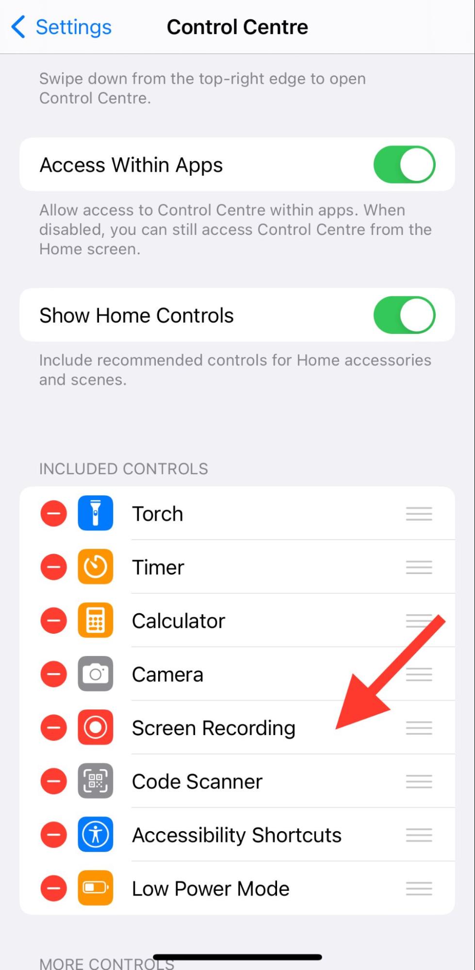 screen recording option