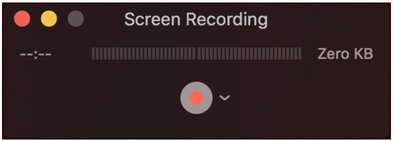 stop the recording
