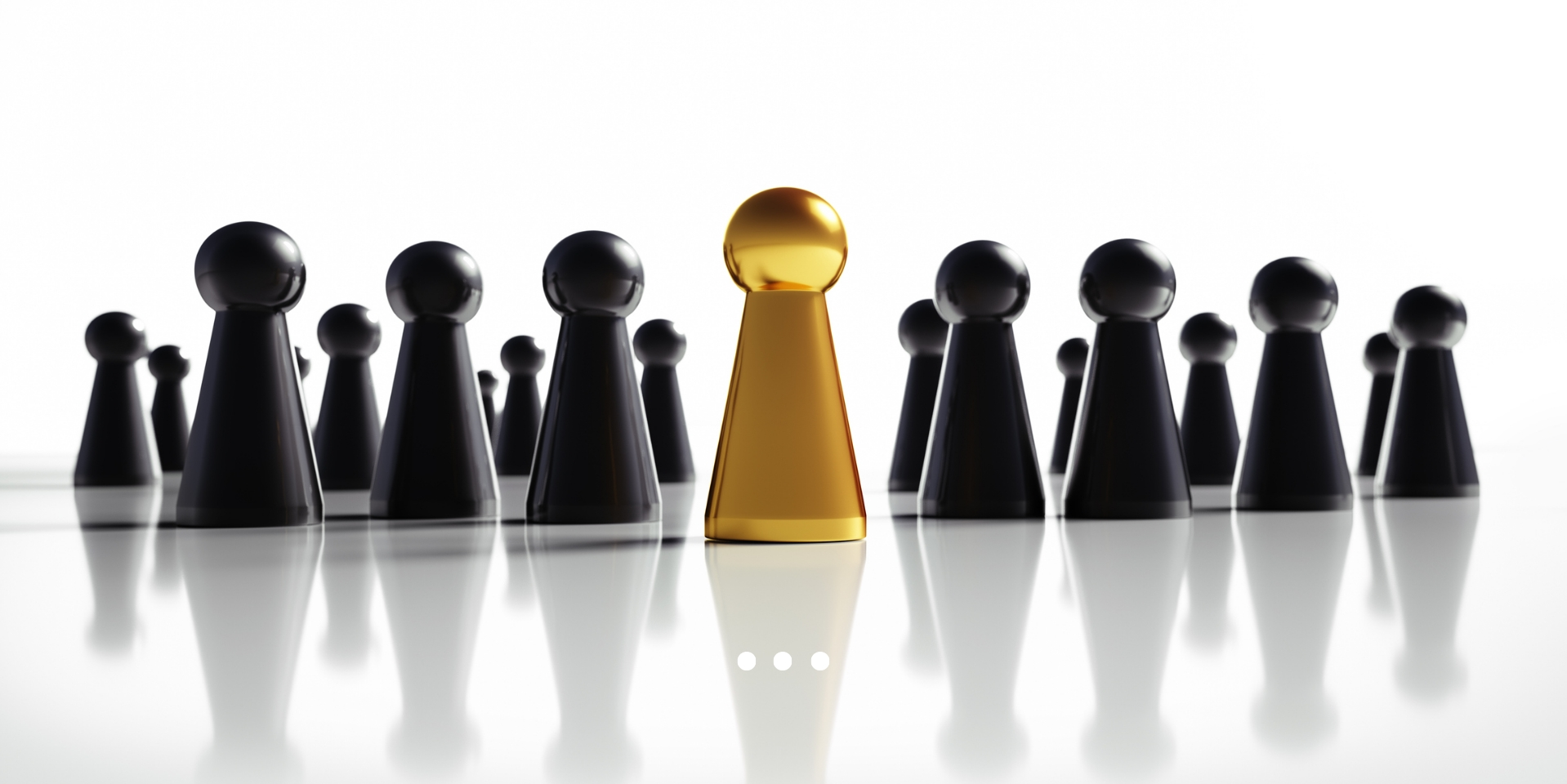 MANAGER & LEADERSHIP DEVELOPMENT cover