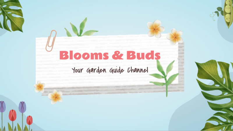 Gardening Channel Youtube Intro
